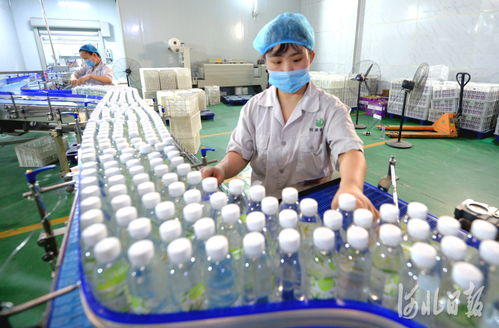 河北巨鹿 農產品加工促增收，鳳凰網河北聚焦鄉村振興新路徑