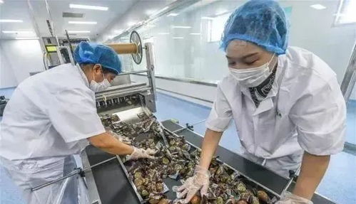 農業產業周報 新希望、騰訊、茅臺、本來生活、叮咚買菜最新動態與農產品加工進展