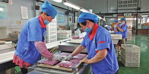 讓黑土地流金淌銀 松原推動農(nóng)業(yè)高質(zhì)量發(fā)展紀(jì)實(shí)