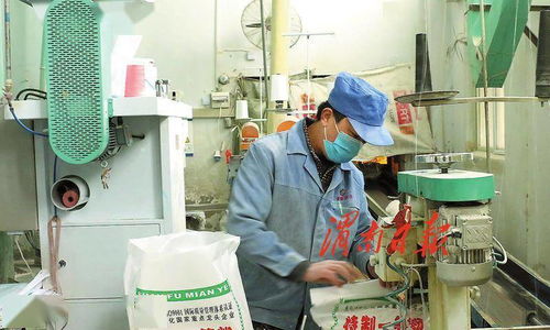 打造農產品加工產業新地標 渭南經開區傾力推進農業產業高質量發展