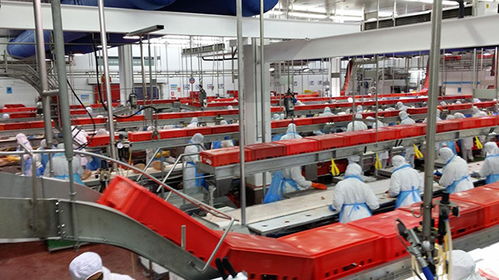 農業人2018年千萬別做這6件事，否則在農產品加工領域會輸得很慘