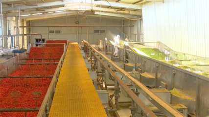 提升農產品精深加工“硬本領” 打通產業(yè)鏈塑造新優(yōu)勢