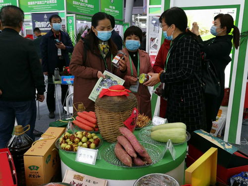 第七屆黃河金三角投資合作交流大會暨渭南農產品加工產業(yè)博覽會開幕，聚焦農產品加工新機遇